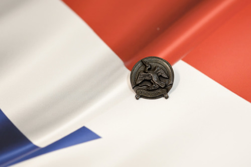 International Cormorant Pin Badge on Union Jack Flag. 