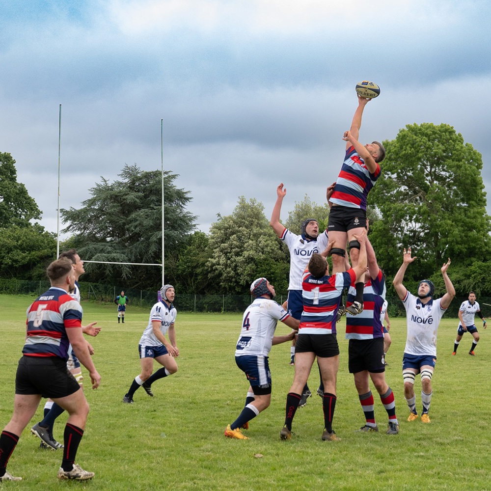 Rugby players in striped and white jerseys compete in a lineout, with one player lifted high to catch the ball on a grassy field under a cloudy sky.